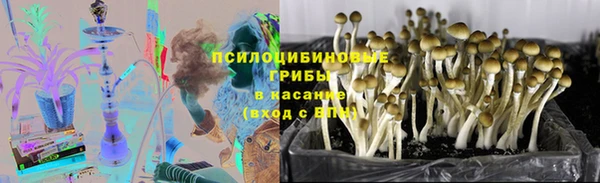 тгк Арсеньев