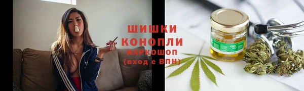тгк Арсеньев