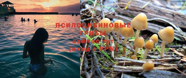 тгк Арсеньев