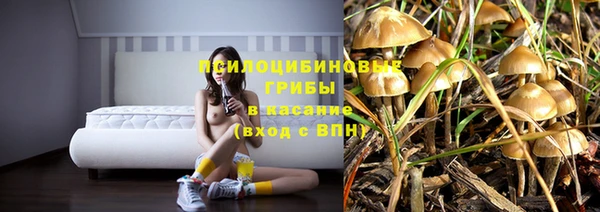 стафф Армянск